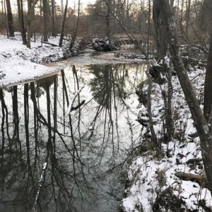 Winter in Georgia